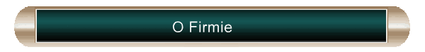 O Firmie